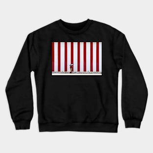 Solo. Crewneck Sweatshirt